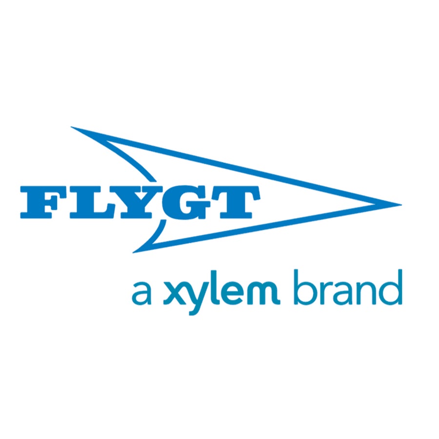 logo flygt